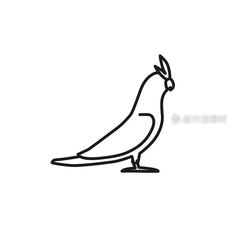 Cockatoo parrot line vector icon. Bird pet linear illustration. Outline corella logo